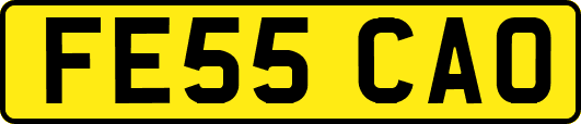 FE55CAO