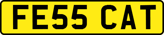 FE55CAT
