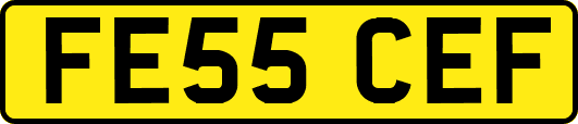 FE55CEF