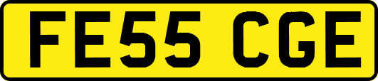 FE55CGE