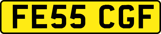 FE55CGF