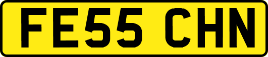 FE55CHN