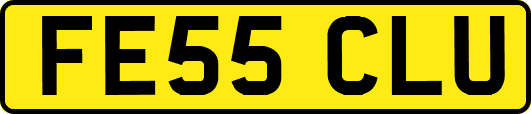 FE55CLU
