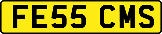 FE55CMS