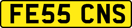 FE55CNS