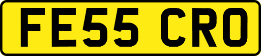 FE55CRO