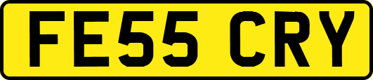 FE55CRY