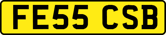 FE55CSB