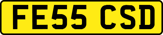 FE55CSD