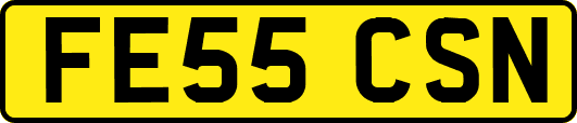 FE55CSN