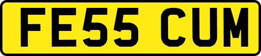 FE55CUM