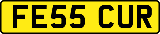 FE55CUR