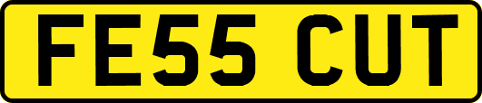 FE55CUT