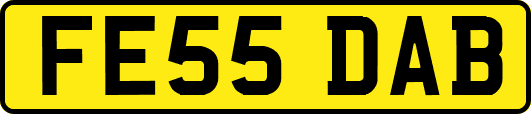 FE55DAB