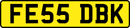 FE55DBK