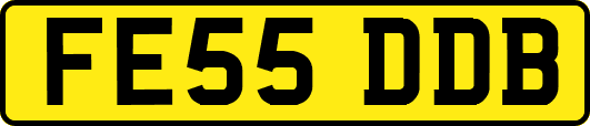 FE55DDB