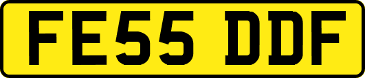 FE55DDF