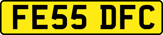 FE55DFC