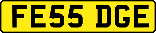 FE55DGE