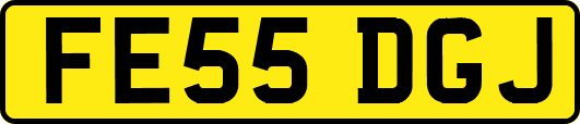 FE55DGJ