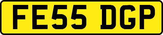 FE55DGP