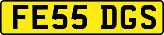 FE55DGS