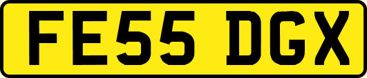FE55DGX