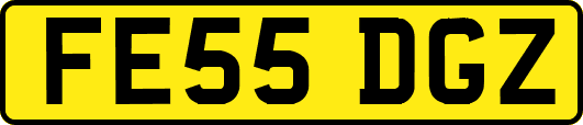 FE55DGZ