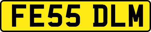 FE55DLM