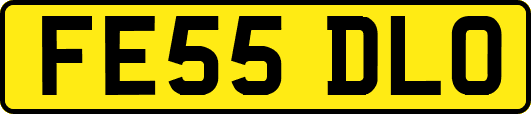 FE55DLO