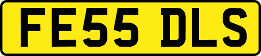 FE55DLS
