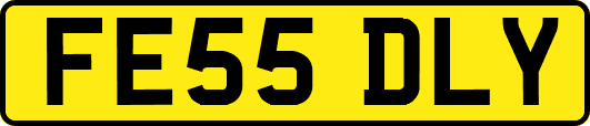FE55DLY