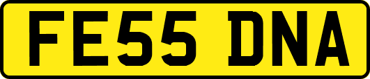 FE55DNA