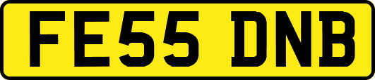 FE55DNB