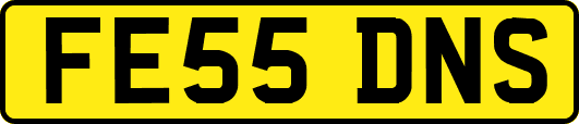 FE55DNS