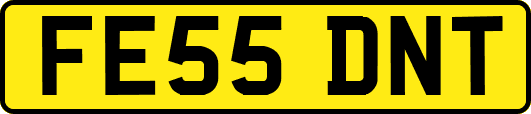 FE55DNT