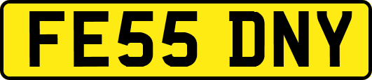 FE55DNY