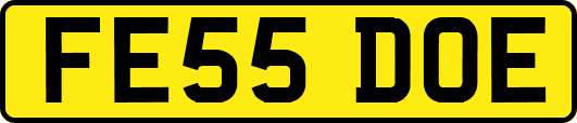 FE55DOE