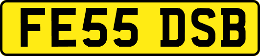 FE55DSB