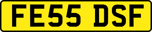FE55DSF