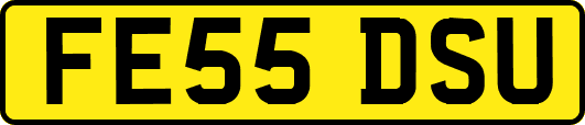 FE55DSU