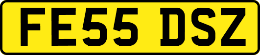 FE55DSZ