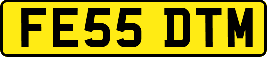 FE55DTM