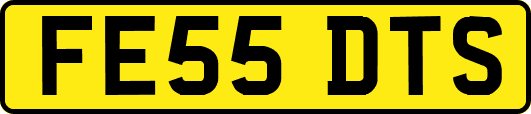 FE55DTS