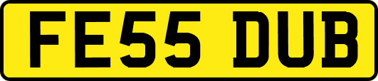 FE55DUB