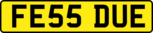 FE55DUE