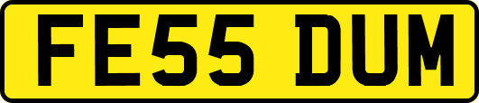 FE55DUM