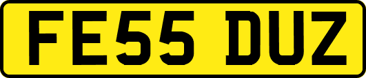 FE55DUZ