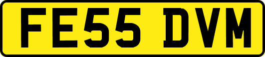 FE55DVM