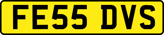 FE55DVS